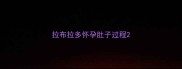 拉布拉多怀孕肚子过程