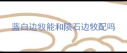 蓝白边牧能和陨石边牧配吗