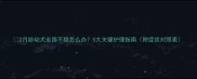 2月龄幼犬走路不稳怎么办5大关键护理指南附症状对照表
