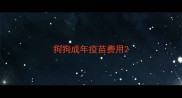 狗狗成年疫苗费用