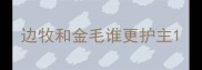 边牧和金毛谁更护主