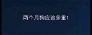 两个月狗应该多重