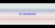 哈士奇的蛋蛋部位