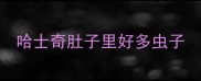 哈士奇肚子里好多虫子