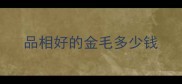 品相好的金毛多少钱