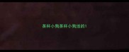 茶杯小狗茶杯小狗活的