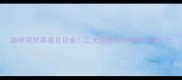 猫咪突然暴瘦且拒食三大原因与科学应对措施全