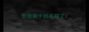 泰迪鼻子脱毛破了