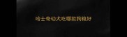 哈士奇幼犬吃哪款狗粮好