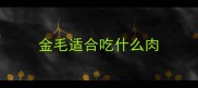 金毛适合吃什么肉
