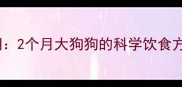 幼犬喂养黄金期2个月大狗狗的科学饮食方案与养护要点