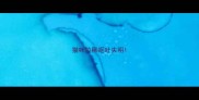 猫咪拉稀呕吐失明