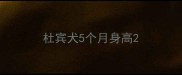 杜宾犬5个月身高