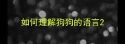 如何理解狗狗的语言