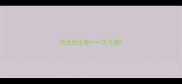 幼犬哈士奇一一天几顿