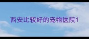 西安比较好的宠物医院