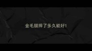 金毛腿摔了多久能好