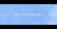 猫打完疫苗精神差
