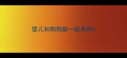 婴儿和狗狗能一起养吗