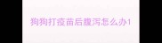 狗狗打疫苗后腹泻怎么办