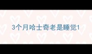 3个月哈士奇老是睡觉