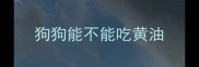 狗狗能不能吃黄油