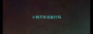 小狗不听话能打吗