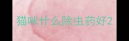 猫咪什么除虫药好