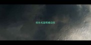 棕色毛蓝眼睛边牧