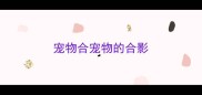 宠物合宠物的合影