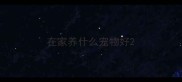 在家养什么宠物好