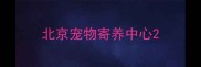 北京宠物寄养中心