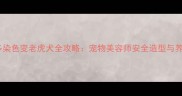 拉布拉多染色变老虎犬全攻略宠物美容师安全造型与养护要点