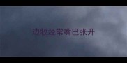 边牧经常嘴巴张开