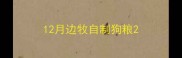12月边牧自制狗粮