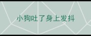 小狗吐了身上发抖