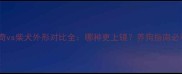 哈士奇vs柴犬外形对比全哪种更上镜养狗指南必看