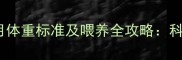泰迪犬3个月体重标准及喂养全攻略科学养宠指南