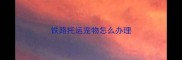 铁路托运宠物怎么办理
