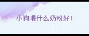 小狗喂什么奶粉好