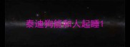 泰迪狗能和人起睡