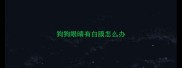 狗狗眼晴有白膜怎么办