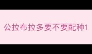 公拉布拉多要不要配种