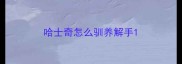 哈士奇怎么驯养解手