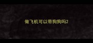 做飞机可以带狗狗吗