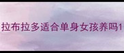 拉布拉多适合单身女孩养吗