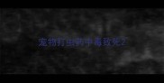 宠物打虫药中毒致死