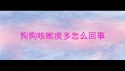 狗狗咳嗽痰多怎么回事