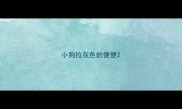 小狗拉灰色的便便