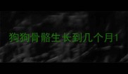 狗狗骨骼生长到几个月
